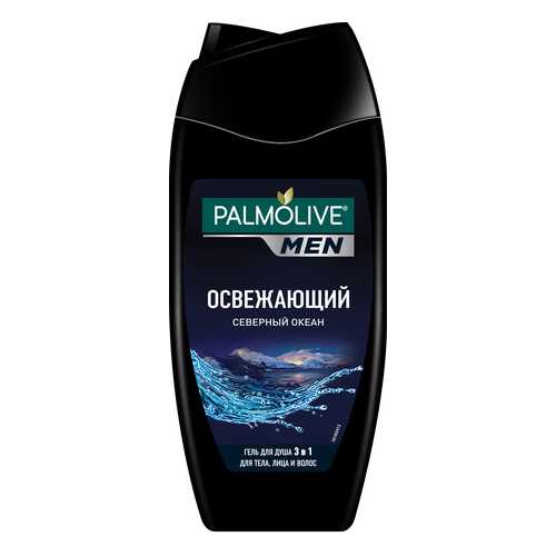 Гель для душа Palmolive Северный океан Мужской 250 мл в Эйвон